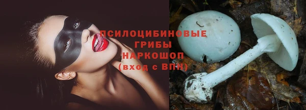 бошки Заволжье
