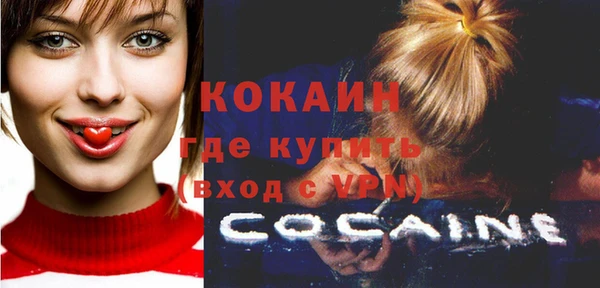 соль ск Пестово