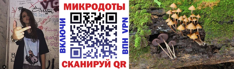 купить  сайты  Приозерск  Псилоцибиновые грибы MAGIC MUSHROOMS 